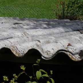 CEMENTAL di Correggio (RE) – Amianto: ripartire da giustizia, sorveglianza sanitaria e bonifica del&nbsp;territorio