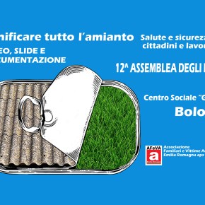 12° Assemblea AFeVA Emilia Romagna aps: i video e le slide degli&nbsp;interventi